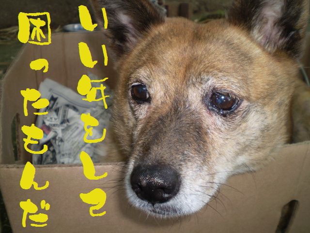 �����R�̂��₶�̂Ԃ₫