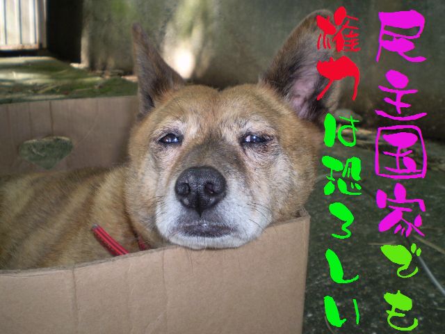 �����R�̂��₶�̂Ԃ₫