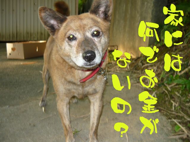 �����R�̂��₶�̂Ԃ₫