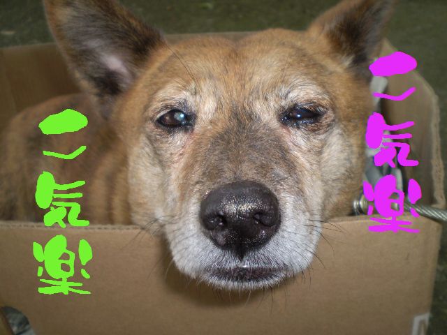 �����R�̂��₶�̂Ԃ₫