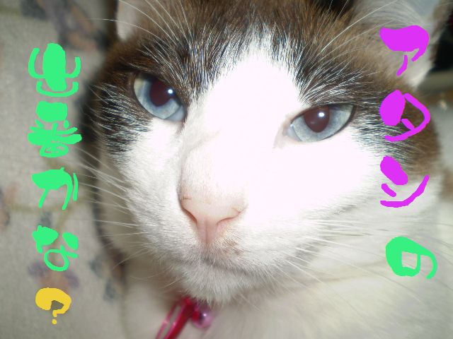 �����R�̂��₶�̂Ԃ₫