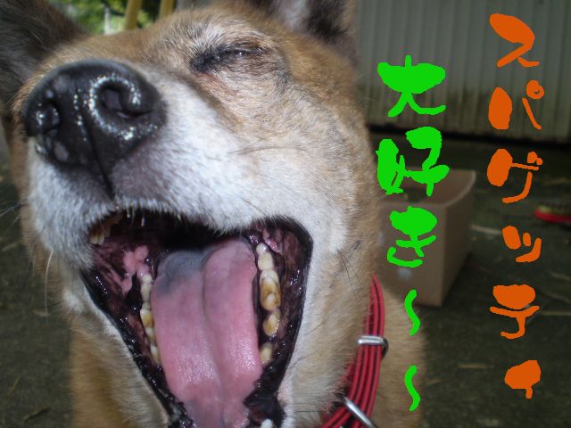 �����R�̂��₶�̂Ԃ₫