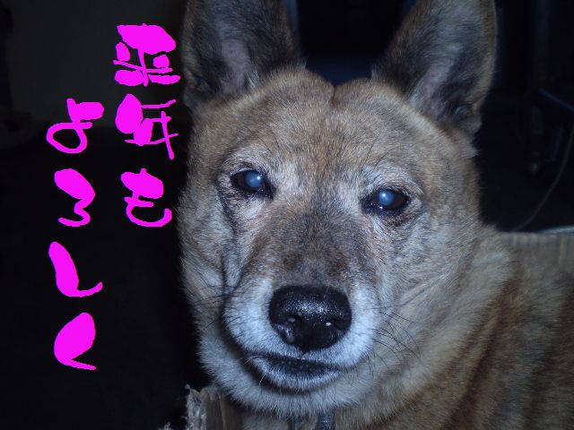 �����R�̂��₶�̂Ԃ₫