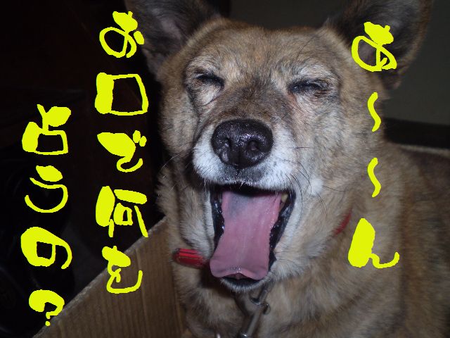 �����R�̂��₶�̂Ԃ₫