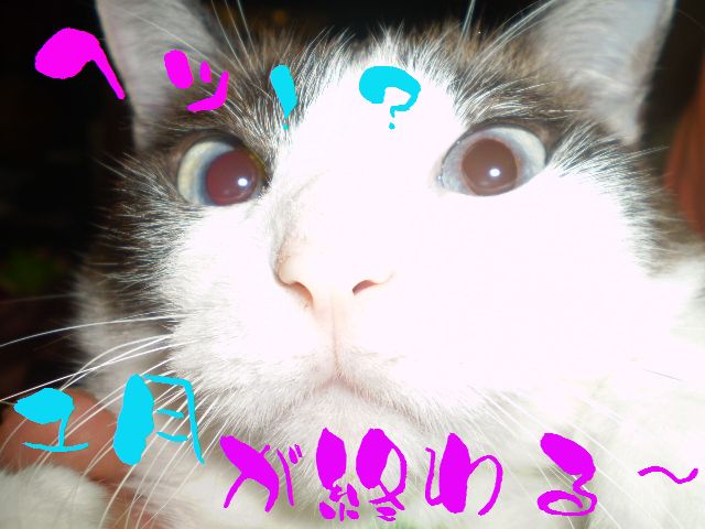 �����R�̂��₶�̂Ԃ₫