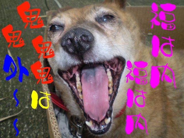 �����R�̂��₶�̂Ԃ₫