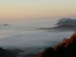 �����R�̂��₶�̂Ԃ₫