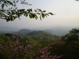 �����R�̂��₶�̂Ԃ₫