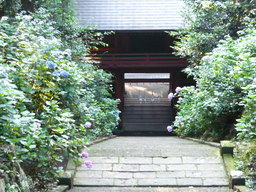 �����R�̂��₶�̂Ԃ₫