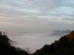 �����R�̂��₶�̂Ԃ₫