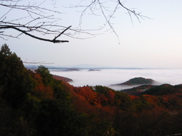 �����R�̂��₶�̂Ԃ₫