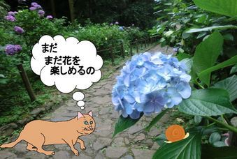 �����R�̂��₶�̂Ԃ₫