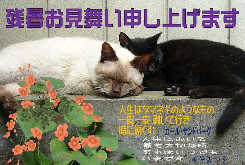 �����R�̂��₶�̂Ԃ₫