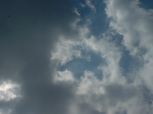 �C�܂���ȋ�