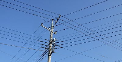 ���X�z������