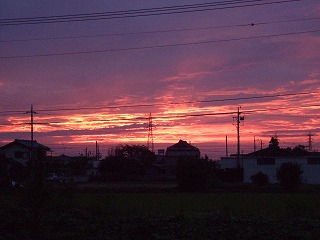 ���X�z������