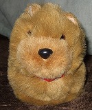 ���X�z������