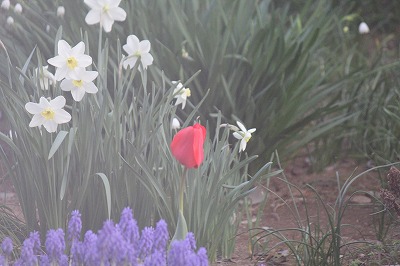 ���X�z������