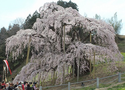 ���X�z������