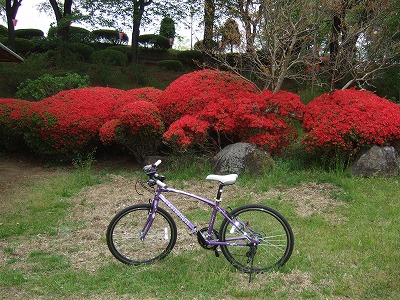 ���X�z������