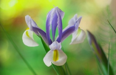 ���X�z������