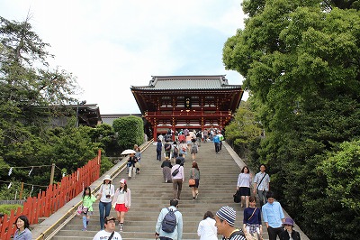 ���X�z������