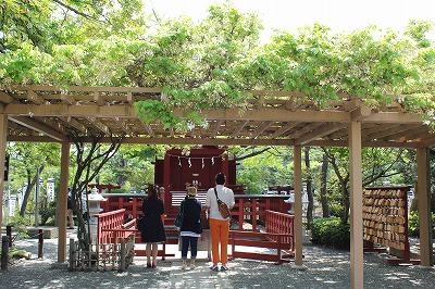 ���X�z������