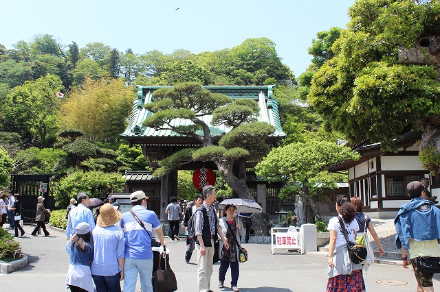 ���X�z������