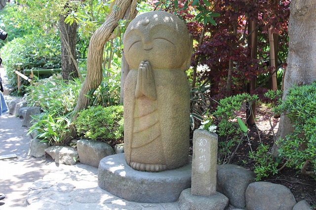 ���X�z������