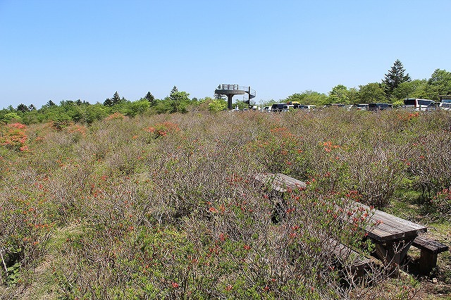 ���X�z������