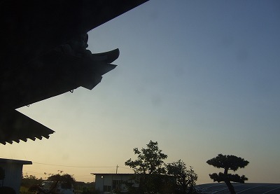 ���X�z������