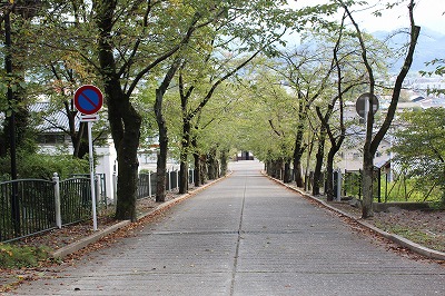 ���X�z������