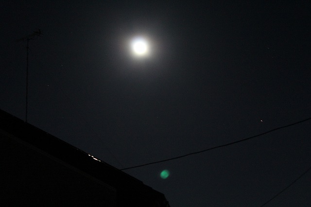 ���X�z������