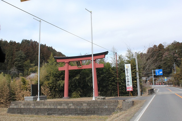 ���X�z������