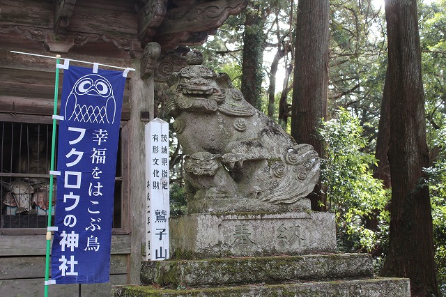 ���X�z������