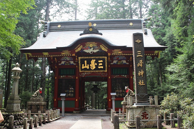 ���X�z������