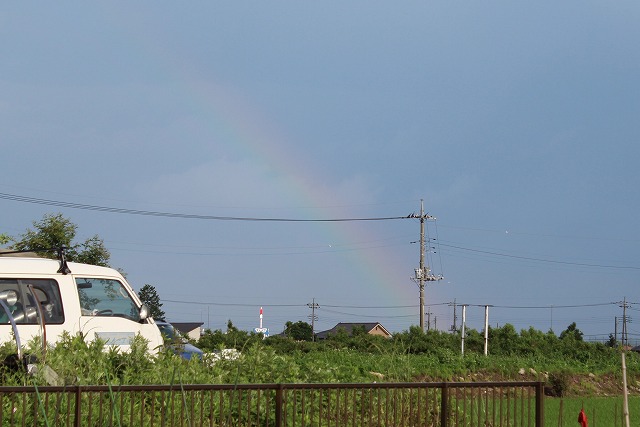 ���X�z������