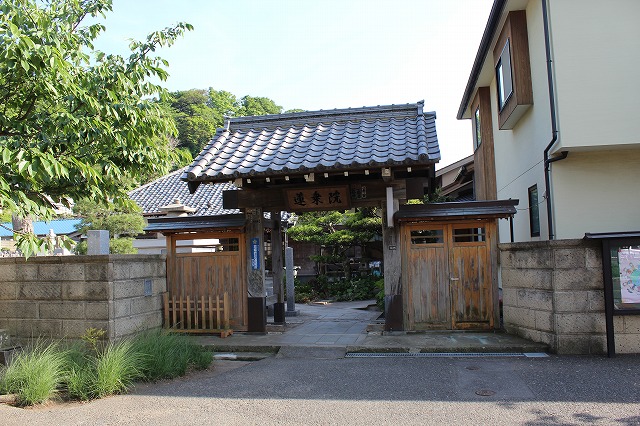 ���X�z������