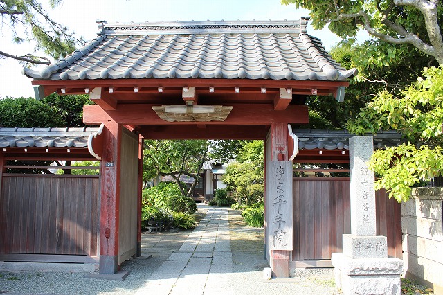 ���X�z������