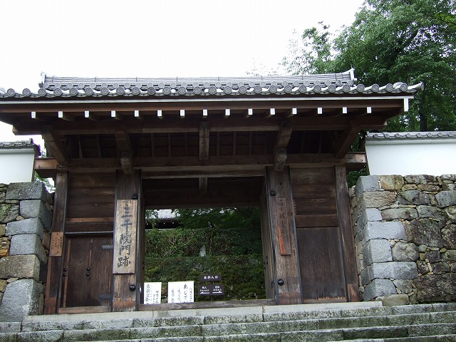 ���X�z������