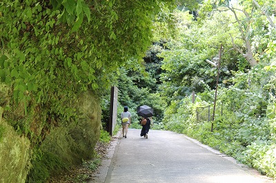 ���X�z������