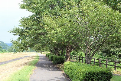 ���X�z������