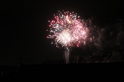 ���X�z������