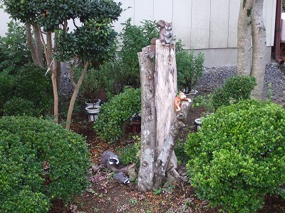 ���X�z������