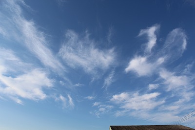 ���X�z������