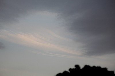 ���X�z������