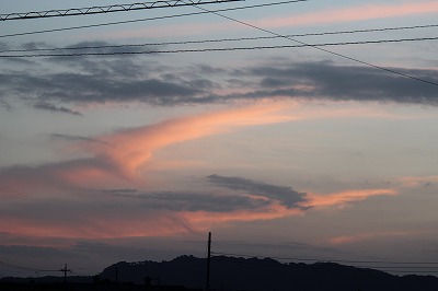 ���X�z������