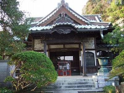 ���X�z������