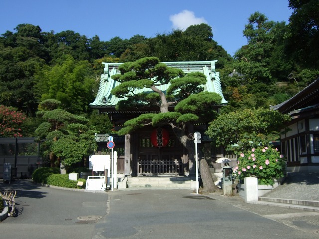 ���X�z������