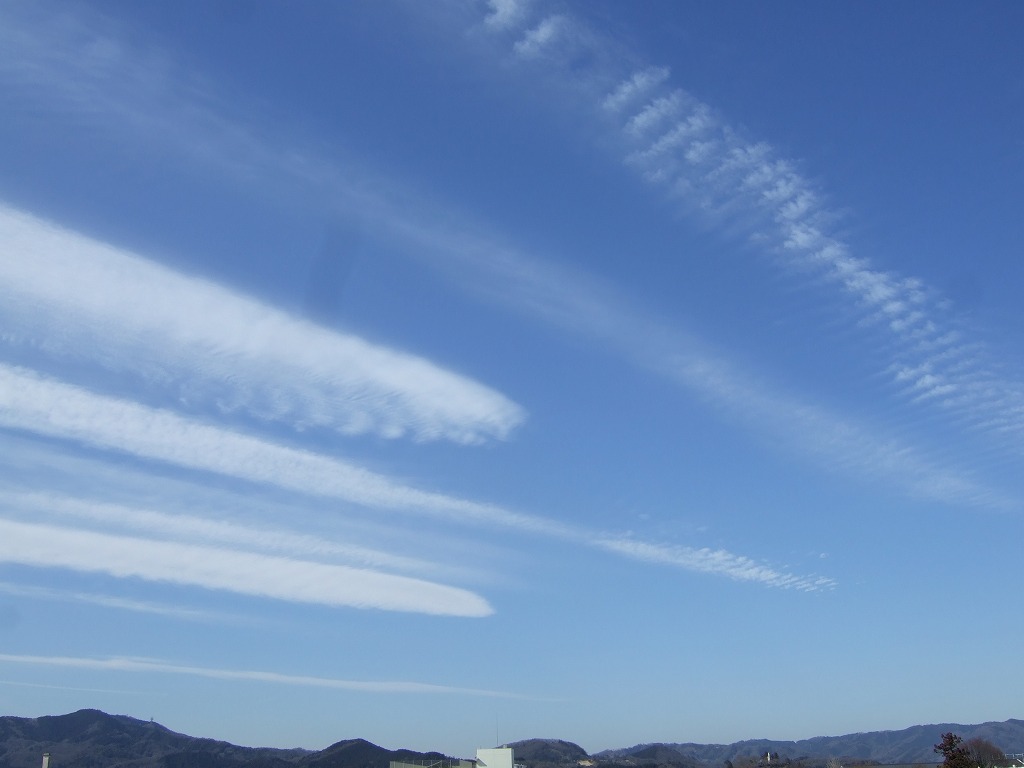 ���X�z������